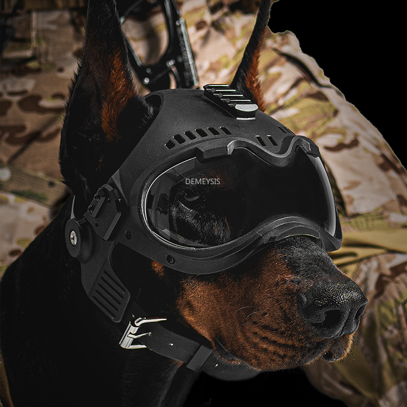 Motorcycle Gear For Dogs - Outdoor Jagd Hund Helm Haustier Motorrad
