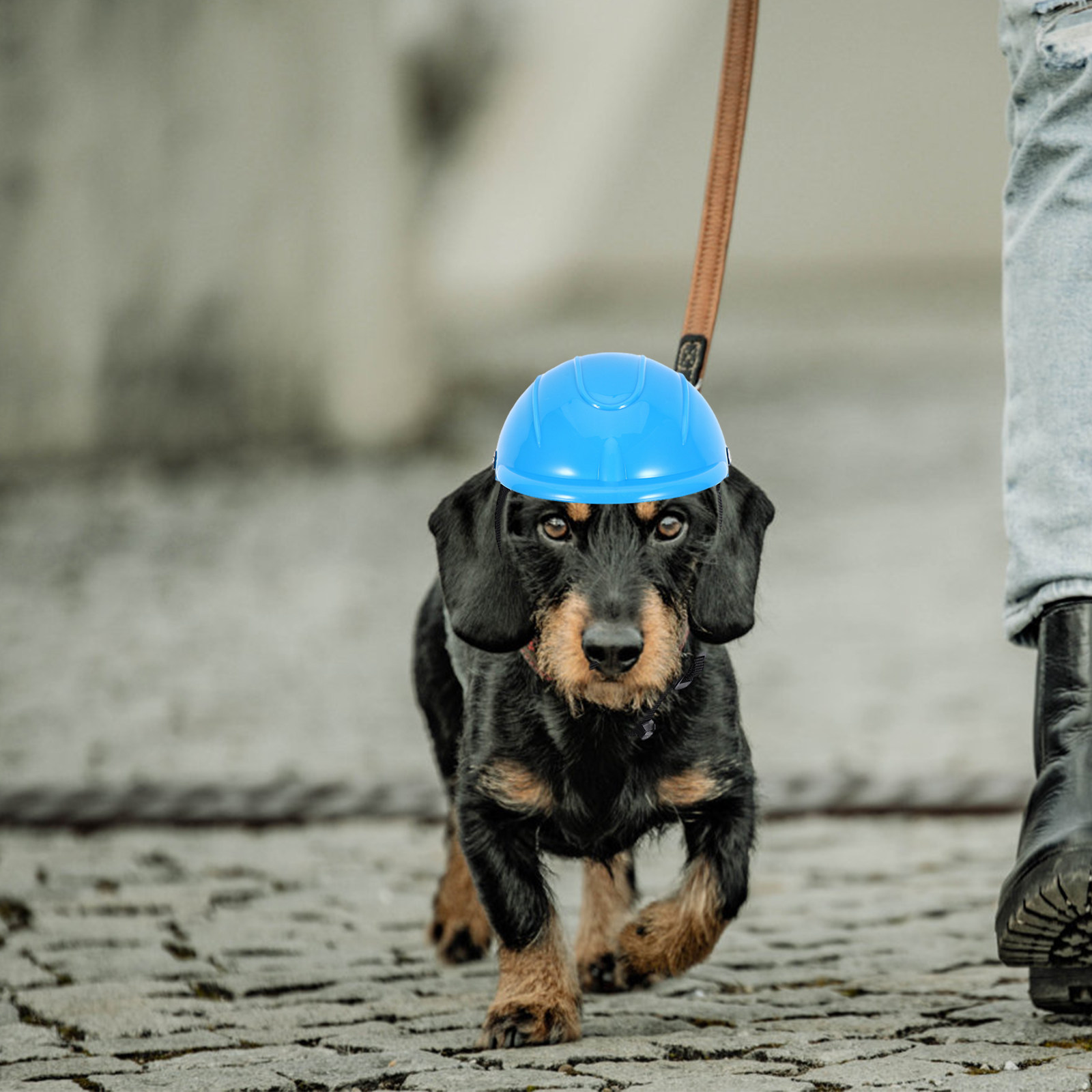 Motorcycle Gear For Dogs - Verstellbarer Motorrad-Sitz für Kleine Hunde wie