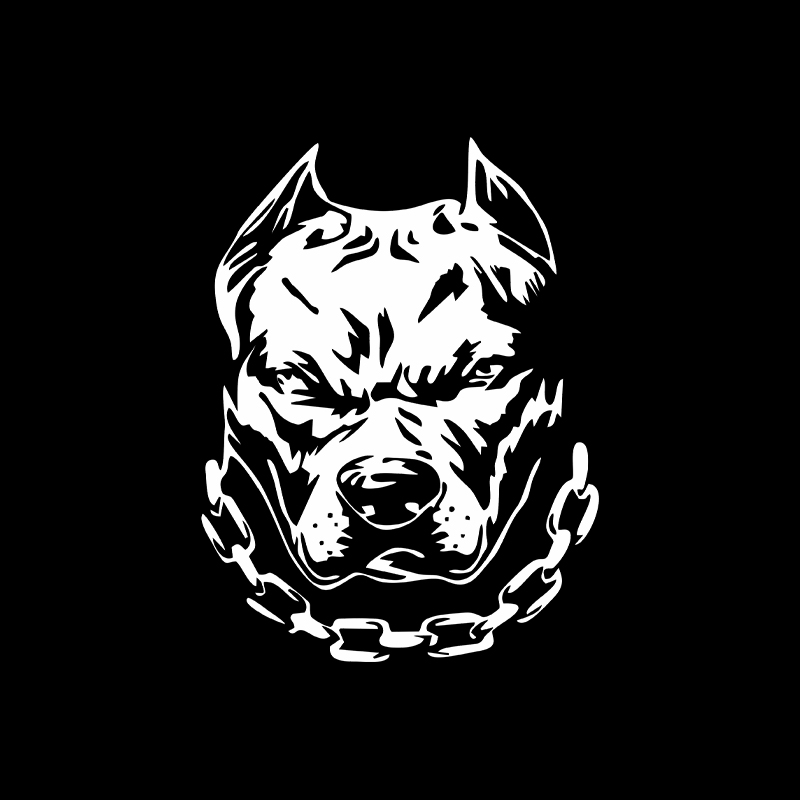 Lustiger Hundekopf, kreativer  – Motorcycle Gear For Dogs Bewertung und Preis