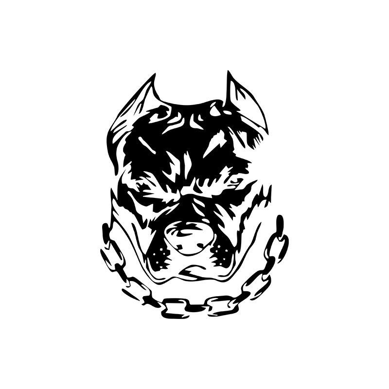 Lustiger Hundekopf, kreativer  – Motorcycle Gear For Dogs Bewertung und Preis