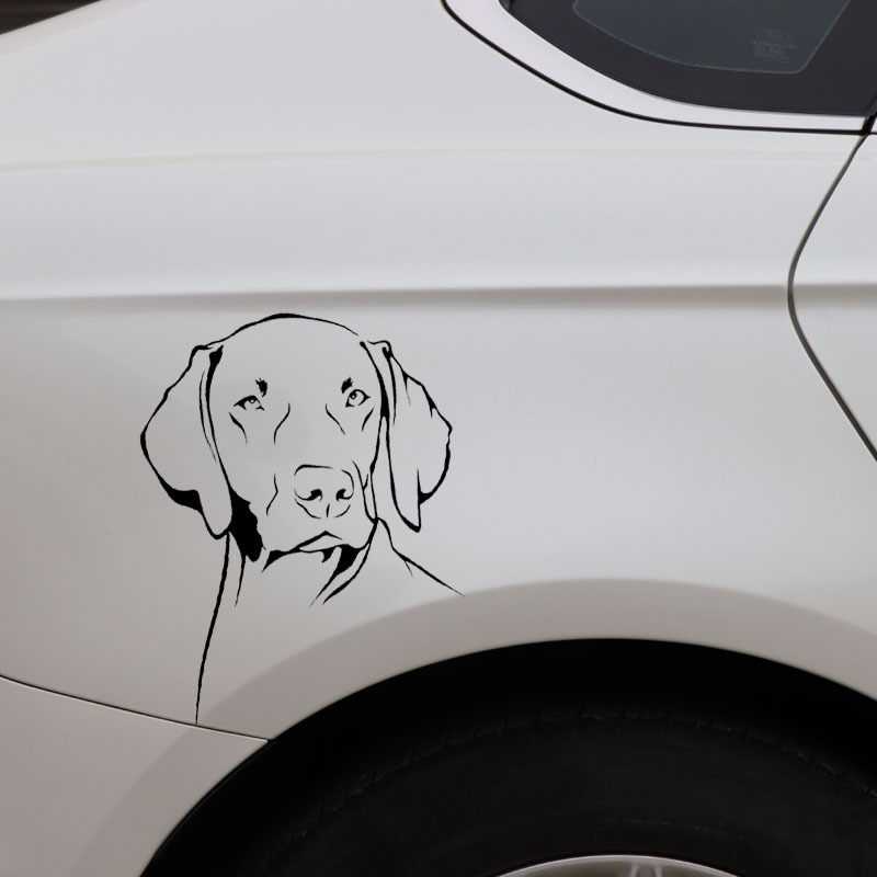 Weimaraner-Hund Umriss Wasserd – Motorcycle Gear For Dogs Bewertung und Preis