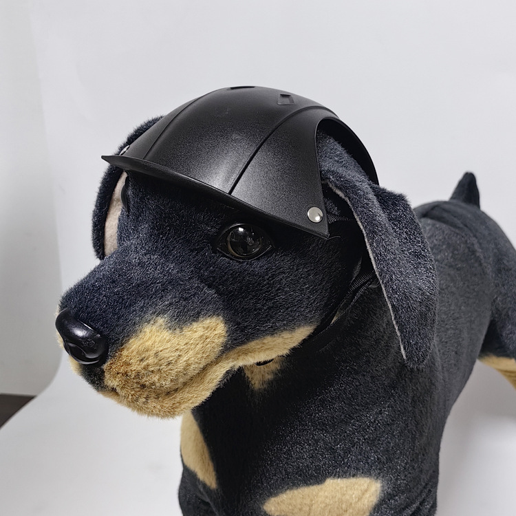 Sicherheitshelm für große Hund – Motorcycle Gear For Dogs Bewertung und Preis