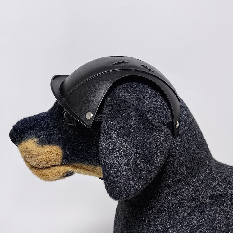 Sicherheitshelm für große Hund – Motorcycle Gear For Dogs Bewertung und Preis