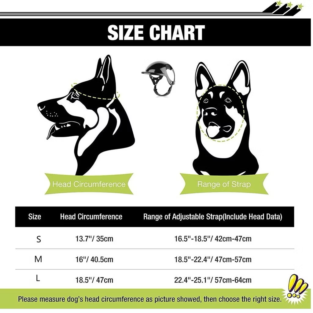 Hunde-Motorradhelm-Brillen-Set – Motorcycle Gear For Dogs Bewertung und Preis