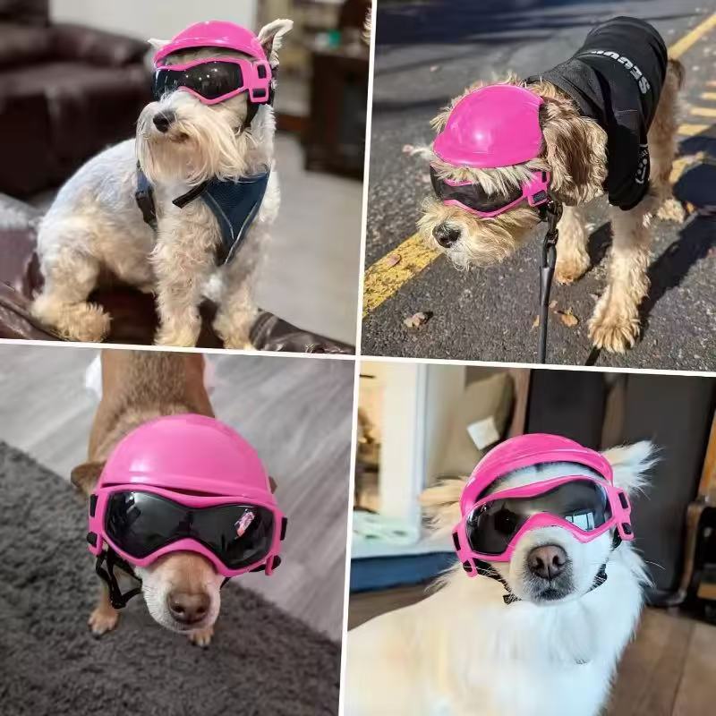 Hunde-Motorradhelm-Brillen-Set – Motorcycle Gear For Dogs Bewertung und Preis
