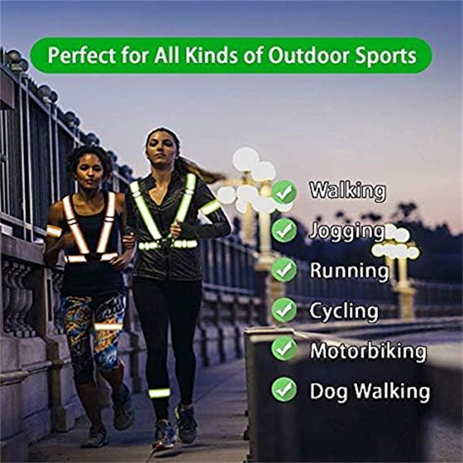 2-teiliges Verstellbares Siche – Motorcycle Gear For Dogs Bewertung und Preis