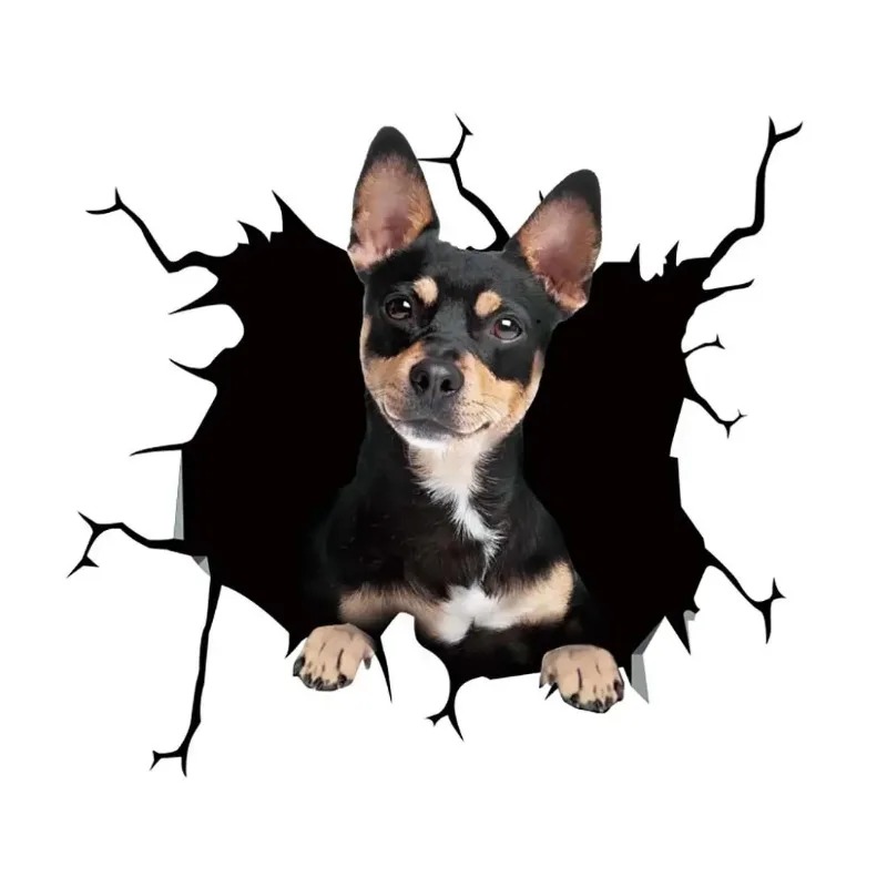 1 Stück Französische Bulldogge – Motorcycle Gear For Dogs Bewertung und Preis
