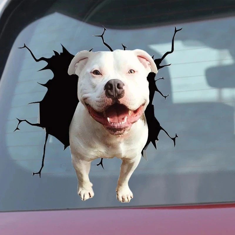 1 Stück Französische Bulldogge – Motorcycle Gear For Dogs Bewertung und Preis
